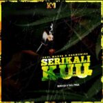 Paul Maker ft. Harmonize – Serikali Kuu