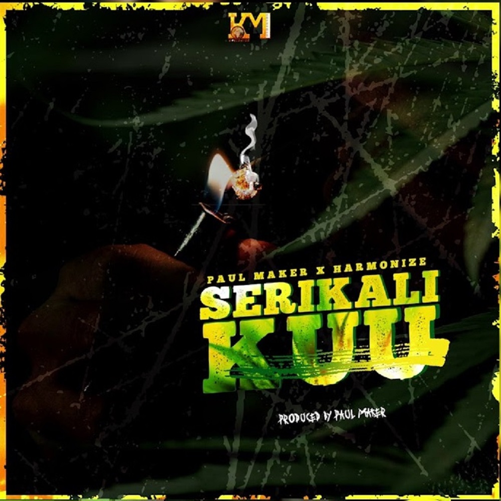 Paul Maker ft. Harmonize – Serikali Kuu