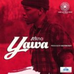 Tekno Yawa Artwork