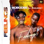 Bobodee Ft. Zinoleesky – Feelings