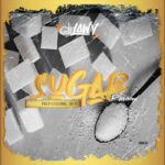 FREE BEAT DJ Lawy – Sugar Instrumental