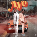 Gekko x T Classic – Aye