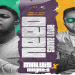 Malvis – Need Some Love ft Magnito