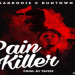 Sarkodie Pain Killer ft Runtown