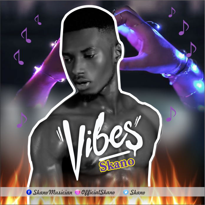 Skano Vibes mp3 image