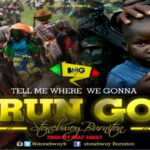 Stonebwoy Run Go