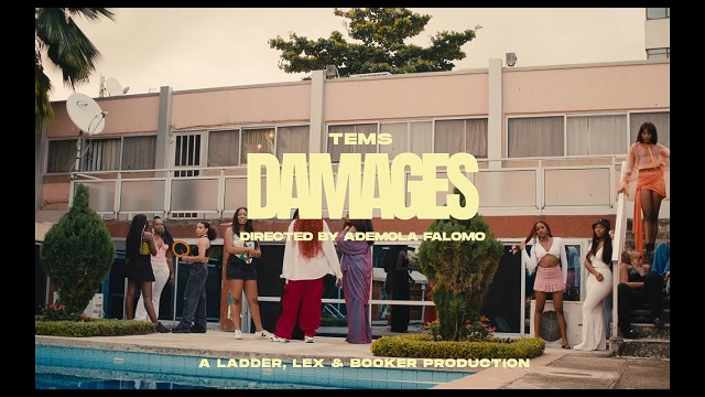 Video Tems – Damages