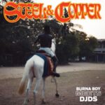 Burna Boy 1