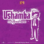 Harmonize Ushamba