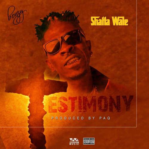 Shatta Wale Testimony