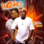 Oladimeji Opakan Ft. Qdot Ariwo Ayo Mp3 Download