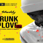 Sheddy – Drunk In Love (Mp3 Download)