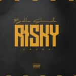 Bella Shmurda Risky Cover Mp3 Download