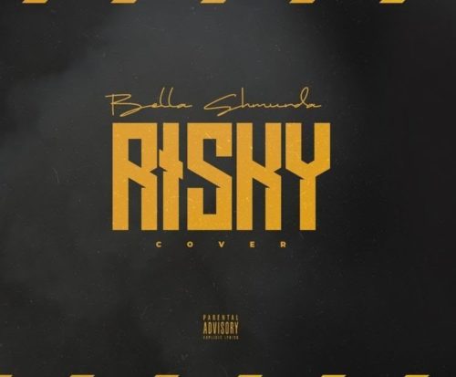 Bella Shmurda Risky Cover Mp3 Download