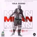 Yaa Pono Mean Artwork