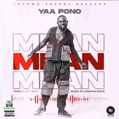 Yaa Pono Mean Artwork