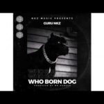 Guru NKZ Who Born Dog