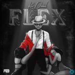 Kizz Daniel Flex