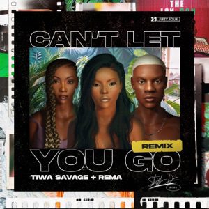 Stefflon Don Cant Let You Go Remix Ft Rema Tiwa Savage