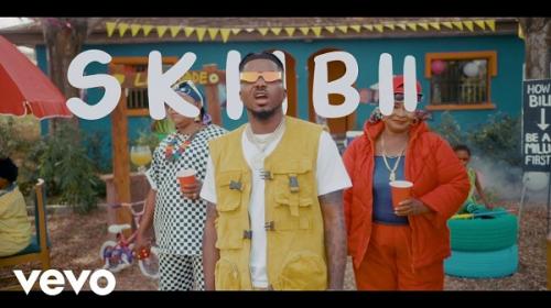 VIDEO Skiibii Are You Vhere