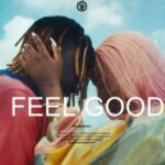 Dj Cuppy – Feel Good ft. Fireboy DML Reprod. By Pizole Beats