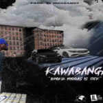 Kawabanga Broke Niggas Is Sick Mp3 Download