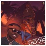 Zlatan Cho Cho mp3 download