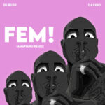 DJ Kush ft. Davido – Fem! (Amapiano Remix)