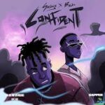 Savage Confident ft. Buju mp3 download