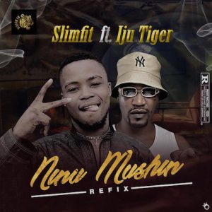 Slimfit Ft. Iju Tiger Ninu Mushin Refix mp3 download