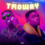 Whalez Troway Ft. Zlatan Mp3 download