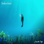 Omah Lay Understand (Lyrics)