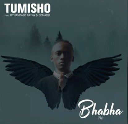 Tumisho Bhabha (Fly) Ft. Mthandazo Gatya & Comado mp3 download