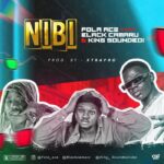 Fola Ace Ft. King SoundBoi & Black Camaru Nibi mp3 download