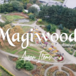 Magnito Magiwood Ft. Bovi mp3 download