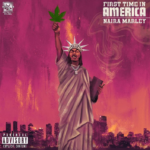 Naira Marley – First Time In America (Lyrics)