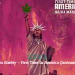 Naira Marley – First Time In America (Instrumental) beat Download