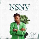 Seyi Vibez NSNV Mp3 Download