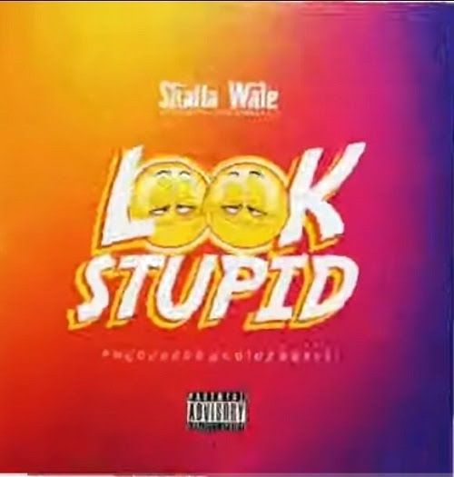 Shatta Wale Look Stupid mnp3 download