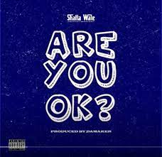 Shatta Wale Are You Ok? mp3 download