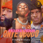 Feline Chigo Ft SlowDog And Coinxy Onye Obodo mp3 download