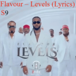 Flavour Levels Lyrics