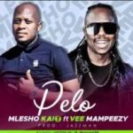 Mlesho Kai1 Pelo Ft. Vee Mampeezy mp3 download