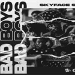 Skyface SDW Bad Boys mp3 download