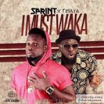 Sprint x Timaya I Must Waka