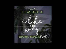 Timaya I Like The Way Remix ft. Electric Bodega 1