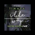 Timaya I Like The Way Remix ft. Electric Bodega