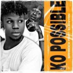 Samrock ft. Eleniyan Ko Possible mp3 download