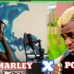 Naira Marley ft Portable Lagos anthem Mp3 Download