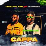 Tridaflow ft. Seyi Vibez Cappa mp3 download